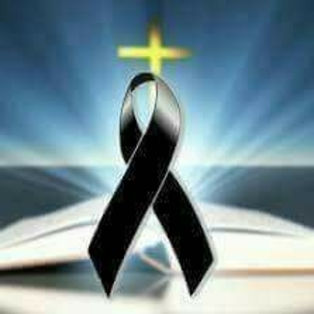 Meet your Posher, Yaneli